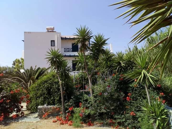 Glafki Studios Syros Mégas Yialós-Nítes 외부 사진